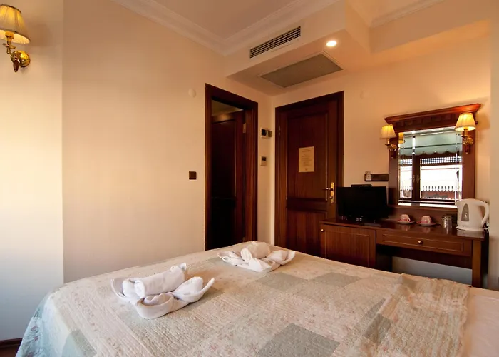 أمين السلطان اسطنبول