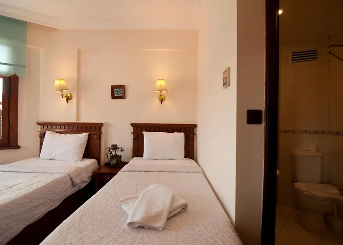 أمين السلطان