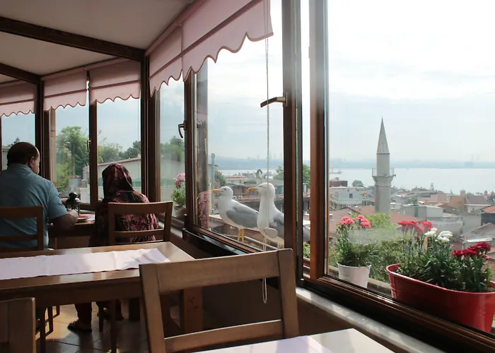 أمين السلطان