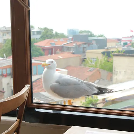Emine Sultan 3* Istanbul