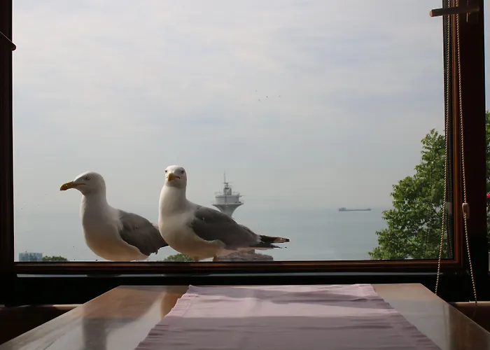 Emine Sultan Hotel Stambuł
