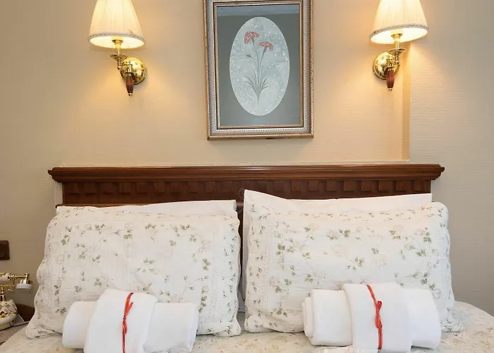 Отель Emine Sultan